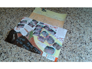 #formichinesalvacibo Abbiamo imparato dalle formiche!