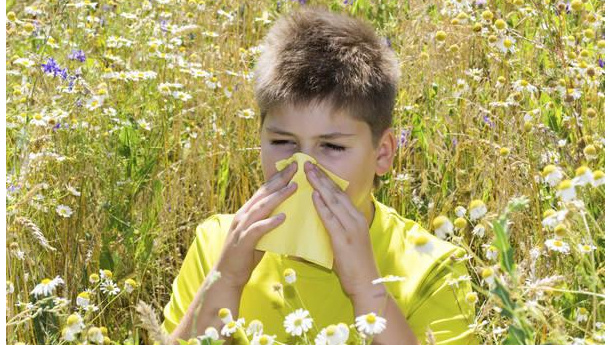 Immagine: Da 10 anni pollini 