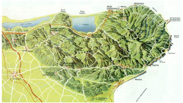 Immagine: Quando i rifiuti vanno su rotaia. Dal Gargano alla discarica di Cerignola