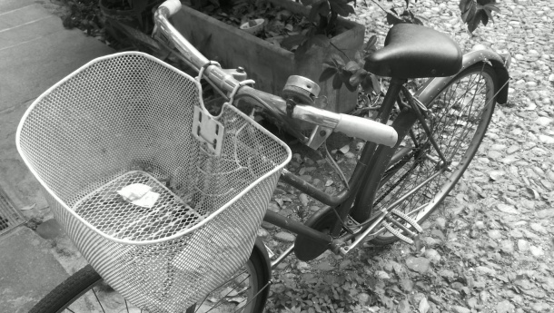 Immagine: La bici al palo. Una storia d'amore