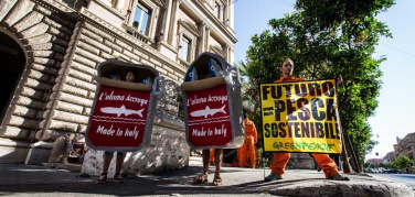 Greenpeace in azione a Roma: 