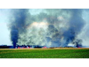 Agenzia Europea dell'Ambiente, pubblicato il “Signals 2015 - Living in a changing climate”