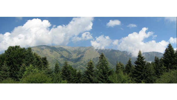 Immagine: La Grecia sempre più “al verde”: una grande opportunità ecologica per l’Europa. Articolo di Oliver Tickell, direttore di Ecologist