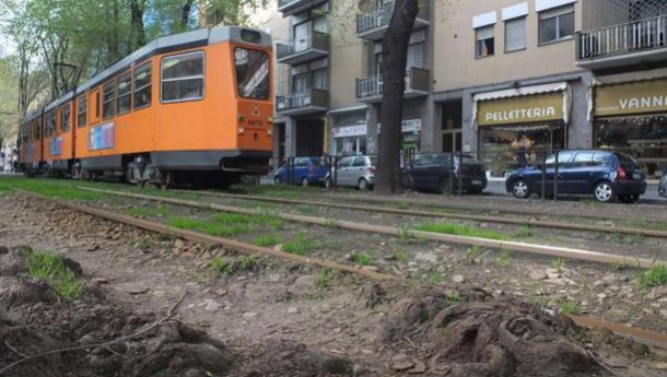 Immagine: Partono i lavori del tram 12 in via Mac Mahon, i binari degli olmi