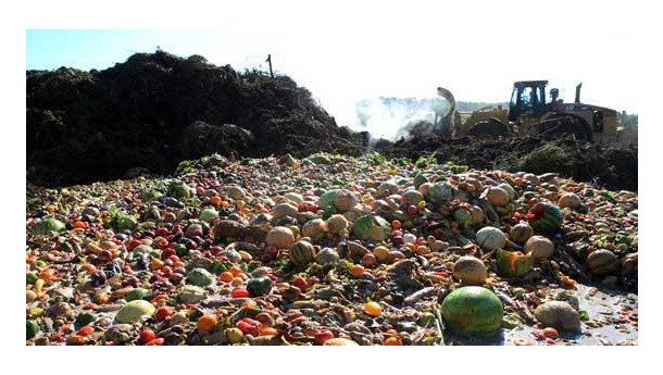 Immagine: Regione Lombardia: approvato protocollo d'intesa contro lo spreco alimentare