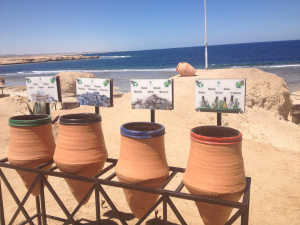 Rifiuti nelle grandi città, i costi per abitante a confronto (Seconda edizione riveduta)