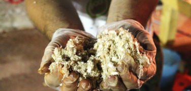 Nardò (Lecce), l’11 settembre c’è il Compost Fest