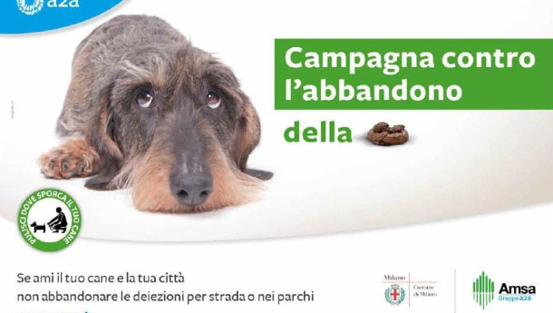 Immagine: Se ami il tuo cane e la tua città ... parte l'iniziativa AMSA-Comune su deiezioni canine e decoro