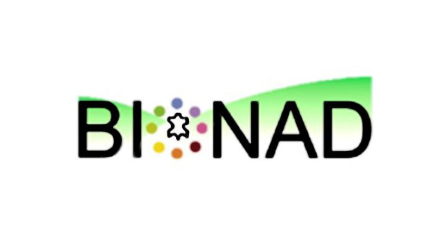 Immagine: BioNaD, il Progetto LIFE+ del mese settembre