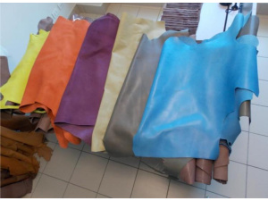 BioNaD, il Progetto LIFE+ del mese settembre