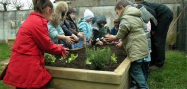 Francia, 1000 orti alle scuole impegnate contro lo spreco alimentare