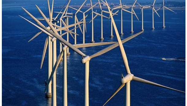 Immagine: Greenpeace: 