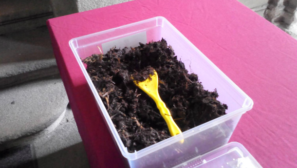 Immagine: I Lombrichi in premio per ...le Formichine !