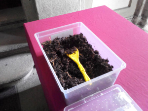 “Formichine salva cibo” e “Lost in food” , conferenza stampa a Palazzo Marino