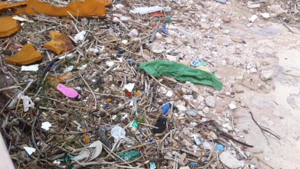 Immagine: Ambiente Puglia: “Mare senza Plastica a Bari il 29-30 settembre presso la scuola De Nittis-Pascali”