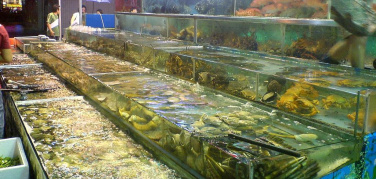 Johns Hopkins University: “Lo spreco di prodotti ittici in Usa può soddisfare il fabbisogno proteico annuo 10 milioni di uomini e di 12 milioni di donne”