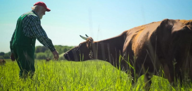Cinemambiente, il programma di giovedì 8 ottobre