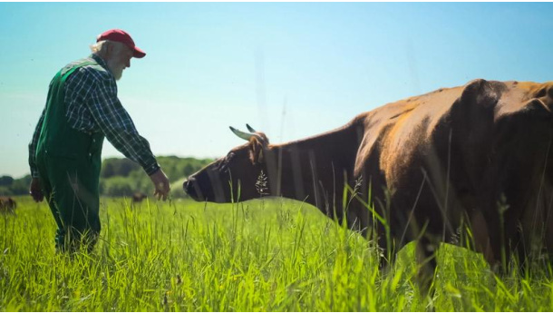 Immagine: Cinemambiente, il programma di giovedì 8 ottobre
