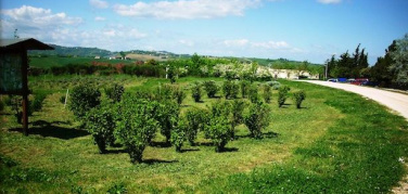 Marche, un “Oasi della Biodiversità” all'interno della discarica “La Cornacchia”