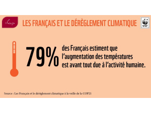 Wwf Francia: “Crescono preoccupazione per il clima e la richiesta di azione ai governi”