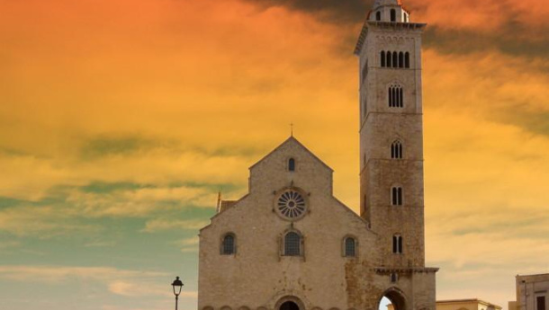 Immagine: Trani, Conai e Comune firmano protocollo d'intesa per lo sviluppo della raccolta differenziata