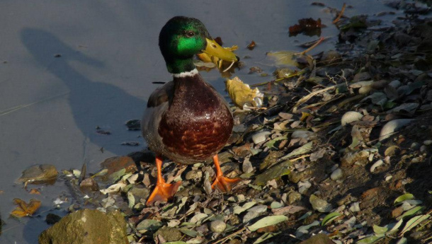 Immagine: Cambiamenti climatici, parte la seconda fase della