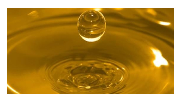 Immagine: Ecomondo, arrivano i riciclatori incentivanti degli oli esausti