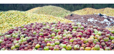 Vogliamo davvero ridurre lo spreco alimentare? Basta buonismo e cambiamo la tassa sui rifiuti