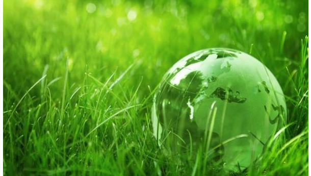 Immagine: “Green economy: fuori dalla nicchia!”, il progetto per l’educazione ambientale della Regione Piemonte
