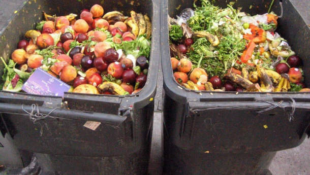 Immagine: Sprechi alimentari e riduzione dei rifiuti organici, l'innovativo progetto di Augusta