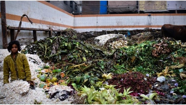 Immagine: India, Tamil Nadu: per legge ogni condominio gestirà i rifiuti alimentari