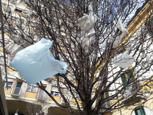 Sacchetti di plastica sugli alberi. Il vento disperde lo smog ma anche i sacchetti usa e getta