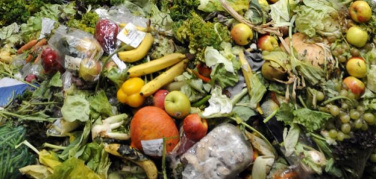 Perché i paesi ricchi sprecano così tanto cibo?