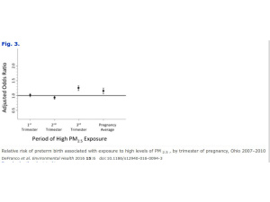 Il PM 2,5 determina un aumento del rischio di parto pretermine del 19%