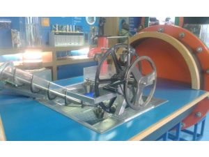 Torino, “A come Ambiente” presenta le nuove sezioni espositive del Museo