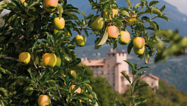 Immagine: Scarti di mele per la produzione di batterie a basso impatto ambientale