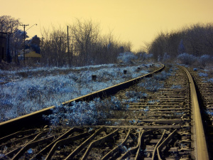 Giornata nazionale delle 