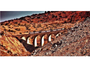 Giornata nazionale delle 