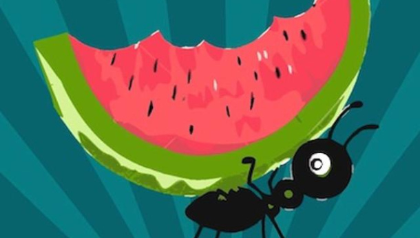 Immagine: Primavera 2016: il ritorno delle Formichine Salvacibo a Milano