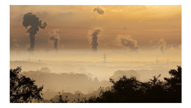 Immagine: Ecoreati,  Lazio prima regione con 134 infrazioni accertate