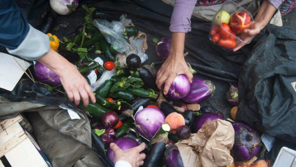 Immagine: Cittadinanza attiva contro gli sprechi a Milano: così si recuperano frutta e verdura, al mercato Marco Aurelio