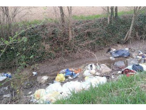 Mantova, entrano in azione le 'Guardie dei Rifiuti'