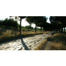 Immagine: Roma, Appia Day: domenica 8 maggio la Regina Viarum aperta solo a pedoni e ciclisti