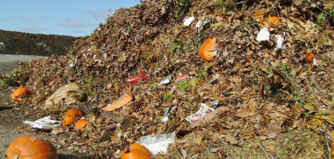 Raccolta rifiuti organici 2016, la tendenza è positiva