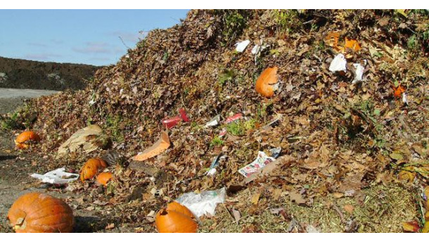 Immagine: Raccolta rifiuti organici 2016, la tendenza è positiva