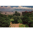 Immagine: Napoli, dal 2011 al 2015 più orti urbani e nuovi alberi