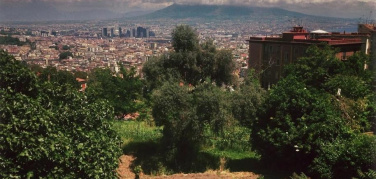 Napoli, dal 2011 al 2015 più orti urbani e nuovi alberi