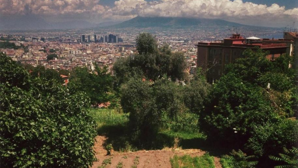 Immagine: Napoli, dal 2011 al 2015 più orti urbani e nuovi alberi