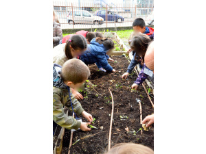 Dall'Orto alla tavola: l'esperienza della scuola di via Mattei