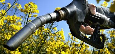 Biodiesel: “Peggio dei combustibili fossili”